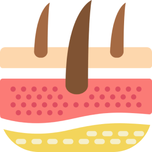 Skin.